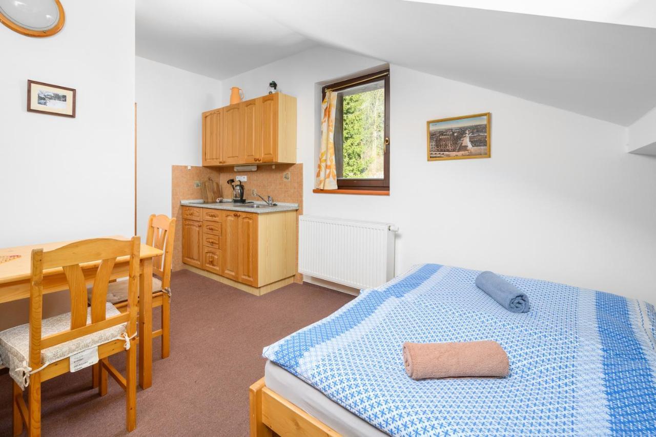 Penzion Petra, Harrachov Aparthotel Exteriör bild